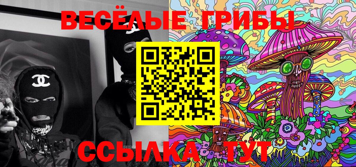 Псилоцибиновые грибы Psilocybine cubensis  Вход с VPN  Псилоцибиновые грибы Psilocybine cubensis  Великие Луки 