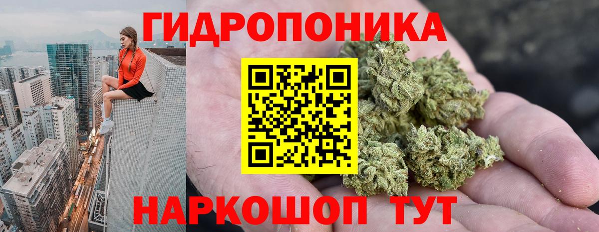 Каннабис Ganja  Вход с VPN  Бошки марихуана SATIVA & INDICA  Великие Луки 